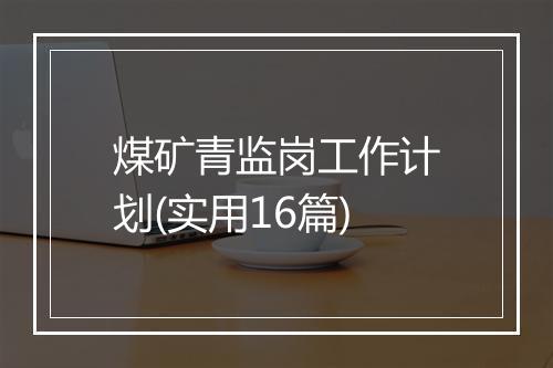 煤矿青监岗工作计划(实用16篇)