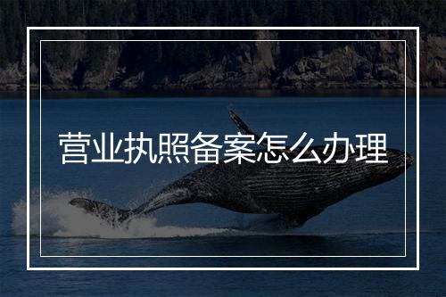 营业执照备案怎么办理
