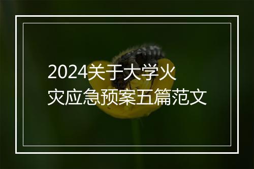 2024关于大学火灾应急预案五篇范文