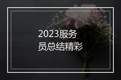 2023服务员总结精彩