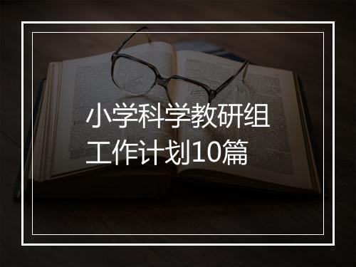 小学科学教研组工作计划10篇