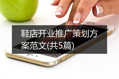 鞋店开业推广策划方案范文(共5篇)