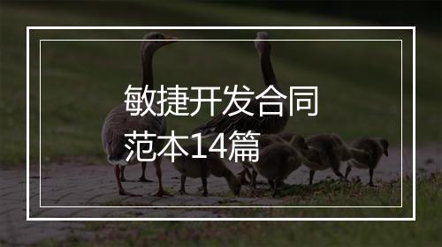 敏捷开发合同范本14篇