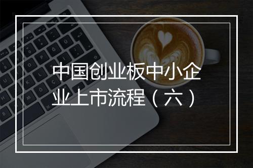 中国创业板中小企业上市流程（六）