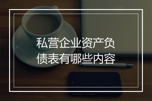 私营企业资产负债表有哪些内容