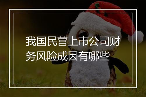 我国民营上市公司财务风险成因有哪些