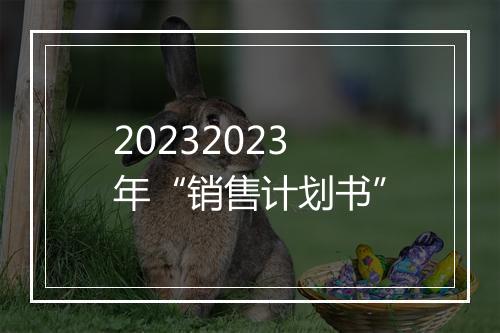 20232023年“销售计划书”
