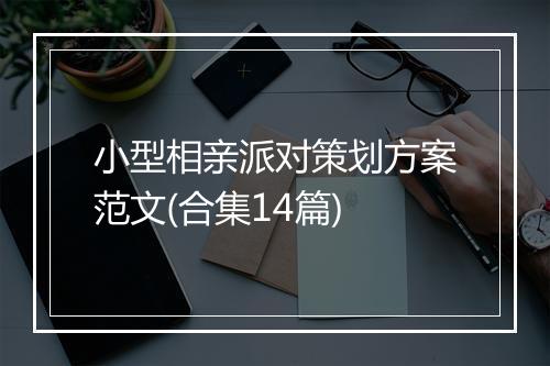 小型相亲派对策划方案范文(合集14篇)