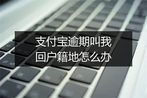 支付宝逾期叫我回户籍地怎么办