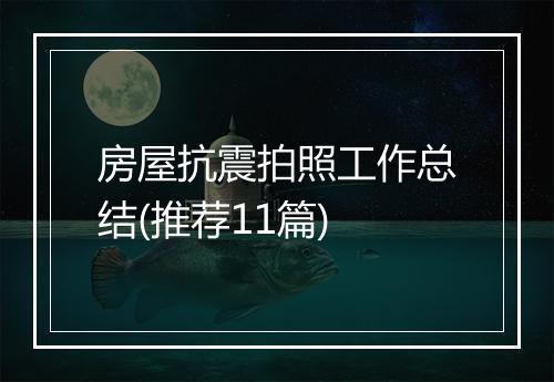 房屋抗震拍照工作总结(推荐11篇)