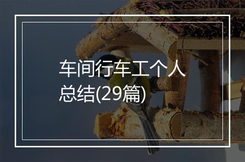 车间行车工个人总结(29篇)