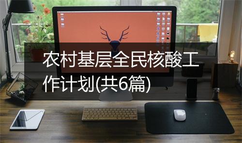 农村基层全民核酸工作计划(共6篇)