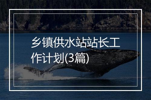 乡镇供水站站长工作计划(3篇)
