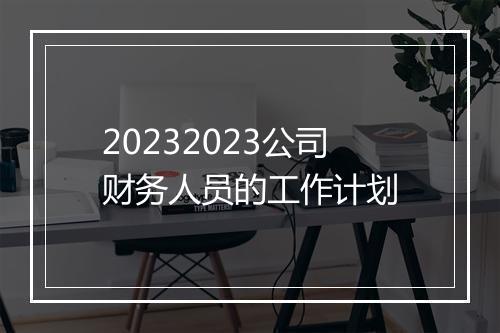 20232023公司财务人员的工作计划
