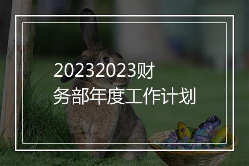 20232023财务部年度工作计划
