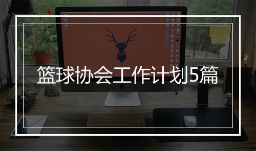 篮球协会工作计划5篇