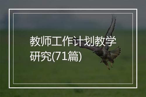 教师工作计划教学研究(71篇)