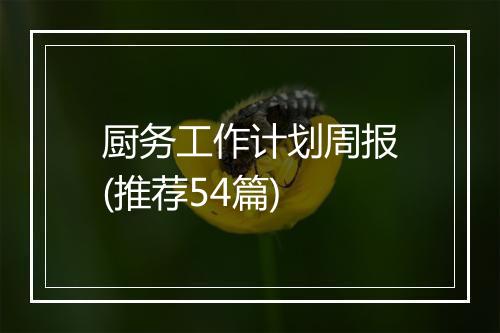 厨务工作计划周报(推荐54篇)