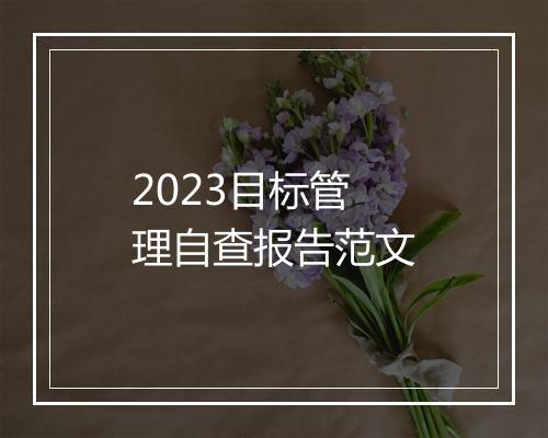 2023目标管理自查报告范文