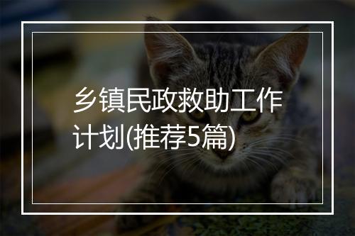 乡镇民政救助工作计划(推荐5篇)