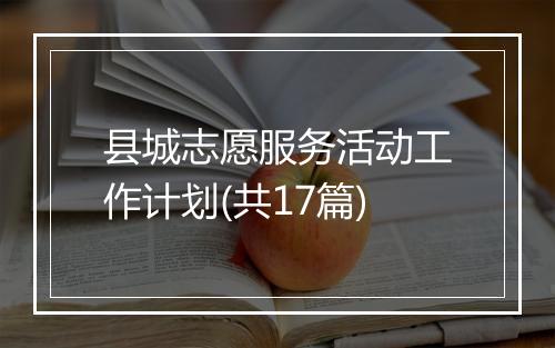 县城志愿服务活动工作计划(共17篇)