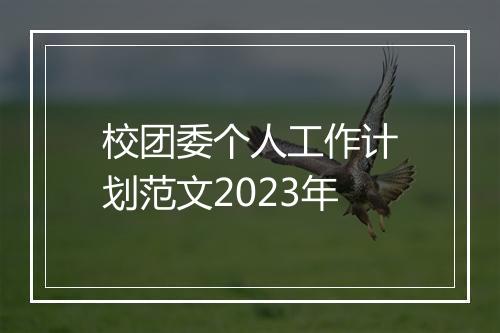 校团委个人工作计划范文2023年