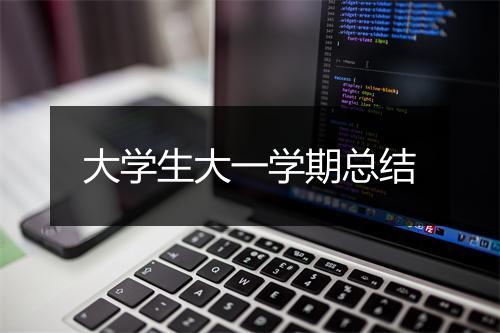 大学生大一学期总结