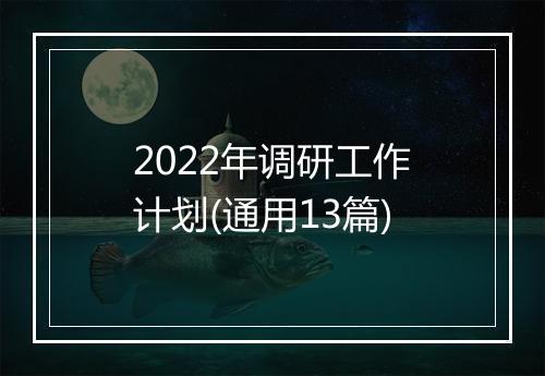 2022年调研工作计划(通用13篇)