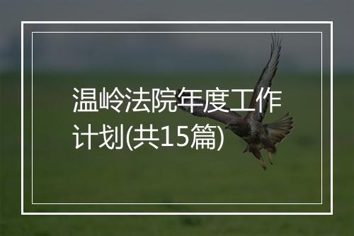 温岭法院年度工作计划(共15篇)