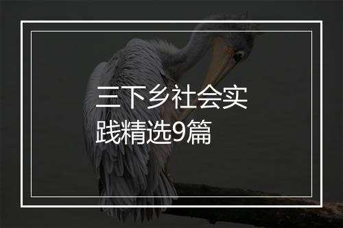 三下乡社会实践精选9篇