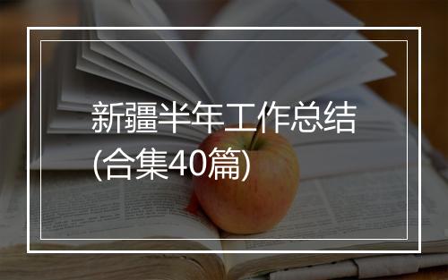 新疆半年工作总结(合集40篇)