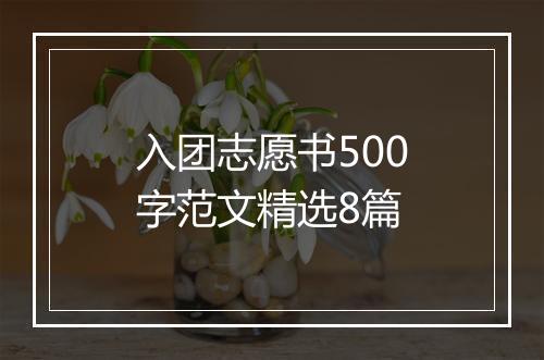 入团志愿书500字范文精选8篇