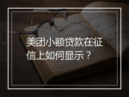 美团小额贷款在征信上如何显示？