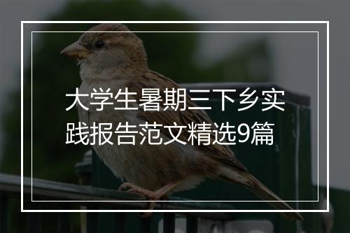 大学生暑期三下乡实践报告范文精选9篇