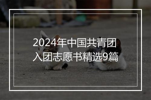 2024年中国共青团入团志愿书精选9篇