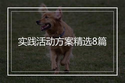 实践活动方案精选8篇