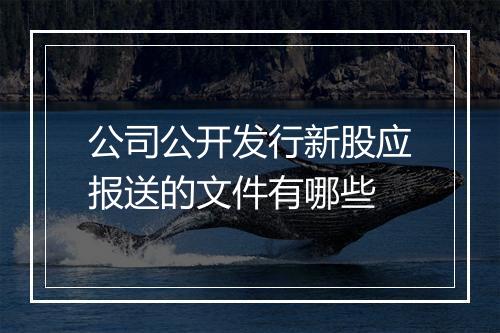 公司公开发行新股应报送的文件有哪些