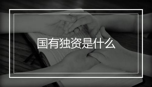 国有独资是什么