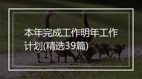 本年完成工作明年工作计划(精选39篇)