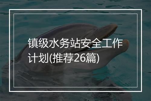 镇级水务站安全工作计划(推荐26篇)
