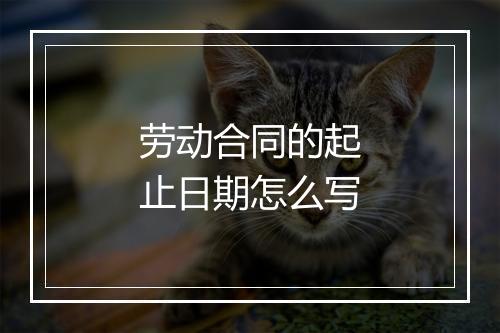 劳动合同的起止日期怎么写