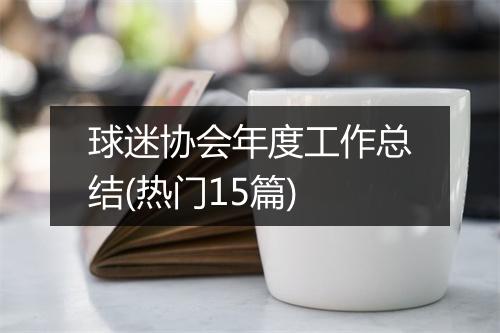 球迷协会年度工作总结(热门15篇)