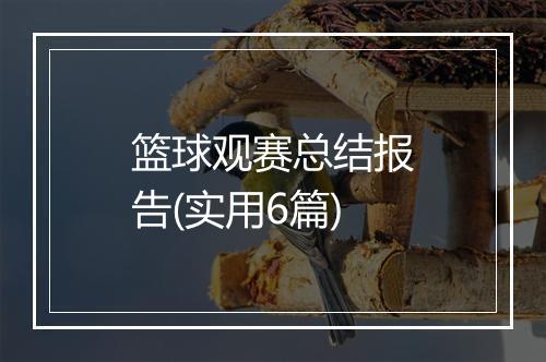 篮球观赛总结报告(实用6篇)
