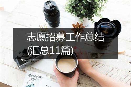 志愿招募工作总结(汇总11篇)