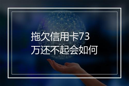 拖欠信用卡73万还不起会如何