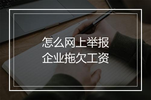 怎么网上举报企业拖欠工资