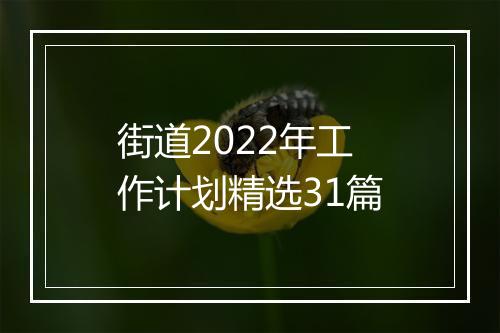 街道2022年工作计划精选31篇