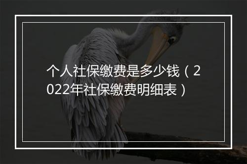 个人社保缴费是多少钱（2022年社保缴费明细表）