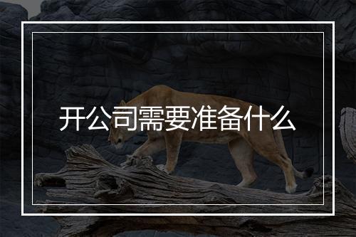 开公司需要准备什么