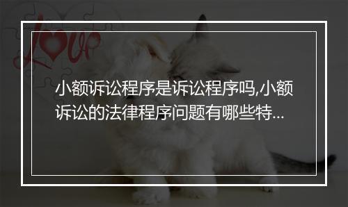 小额诉讼程序是诉讼程序吗,小额诉讼的法律程序问题有哪些特别规定